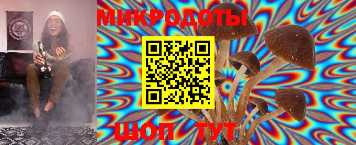 Королёв  Галлюциногенные грибы мухоморы  Псилоцибиновые грибы Cubensis  Вход с VPN 