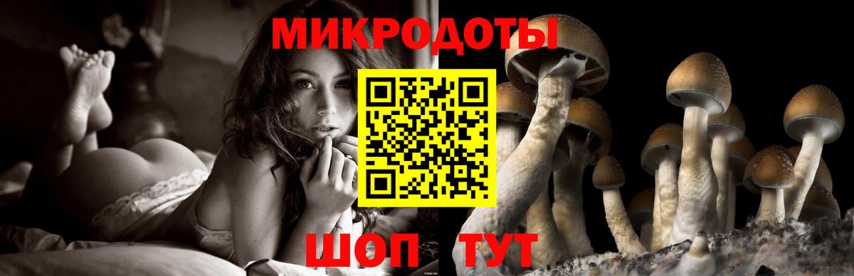 Псилоцибиновые грибы GOLDEN TEACHER Королёв